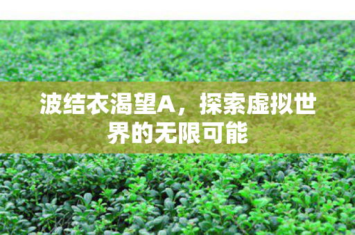 波结衣渴望A，探索虚拟世界的无限可能