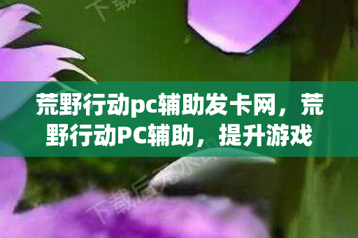 荒野行动pc辅助发卡网，荒野行动PC辅助，提升游戏体验的利器