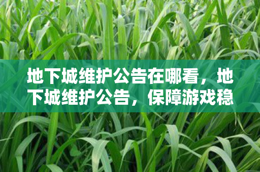 地下城维护公告在哪看，地下城维护公告，保障游戏稳定，优化玩家体验