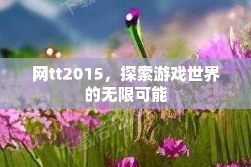 网tt2015，探索游戏世界的无限可能