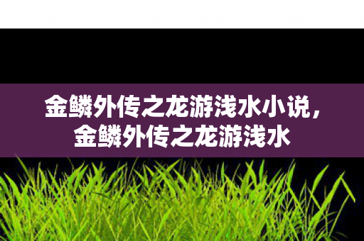 金鳞外传之龙游浅水小说，金鳞外传之龙游浅水