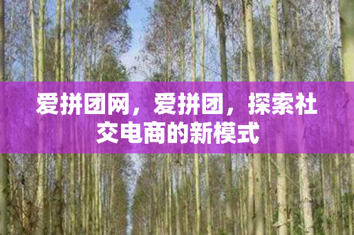 爱拼团网，爱拼团，探索社交电商的新模式