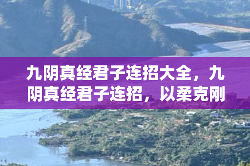 九阴真经君子连招大全，九阴真经君子连招，以柔克刚，君子之道的武学演绎