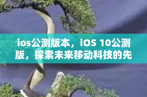 ios公测版本，iOS 10公测版，探索未来移动科技的先驱