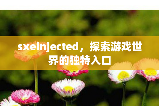 sxeinjected，探索游戏世界的独特入口
