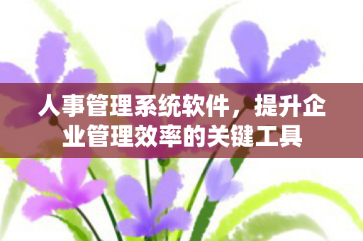 人事管理系统软件，提升企业管理效率的关键工具