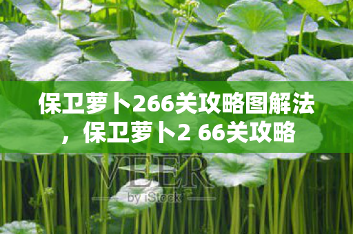 保卫萝卜266关攻略图解法，保卫萝卜2 66关攻略