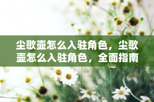 尘歌壶怎么入驻角色，尘歌壶怎么入驻角色，全面指南与策略