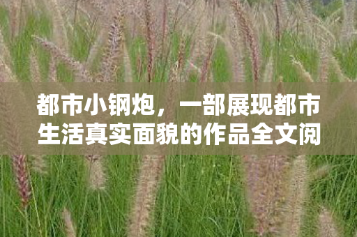 都市小钢炮，一部展现都市生活真实面貌的作品全文阅读