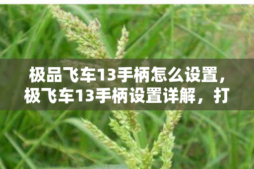 极品飞车13手柄怎么设置，极飞车13手柄设置详解，打造个性化操控体验