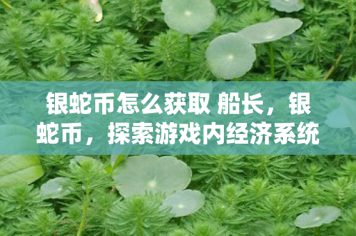 银蛇币怎么获取 船长，银蛇币，探索游戏内经济系统的奥秘