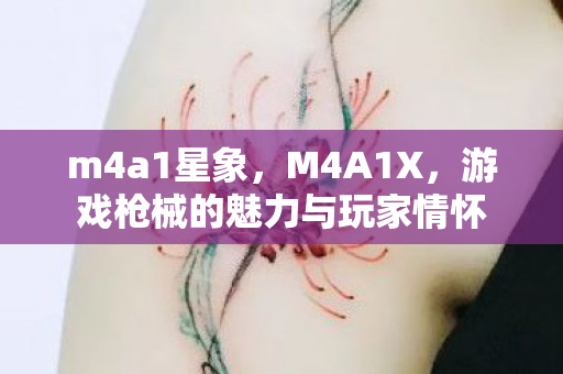 m4a1星象，M4A1X，游戏枪械的魅力与玩家情怀