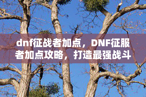dnf征战者加点，DNF征服者加点攻略，打造最强战斗力的关键