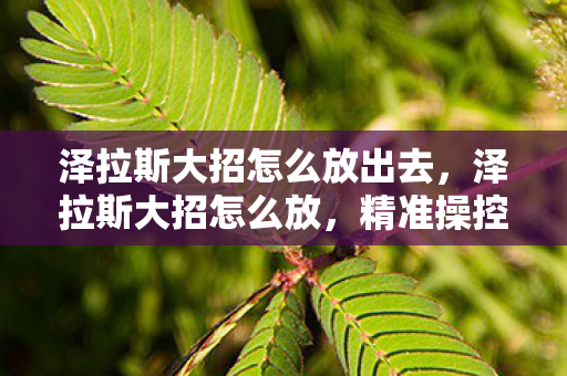 泽拉斯大招怎么放出去，泽拉斯大招怎么放，精准操控与策略运用