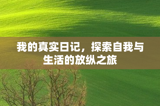 我的真实日记，探索自我与生活的放纵之旅