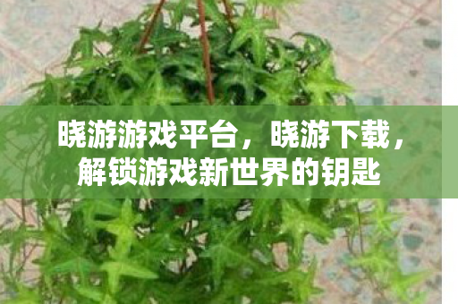 晓游游戏平台，晓游下载，解锁游戏新世界的钥匙