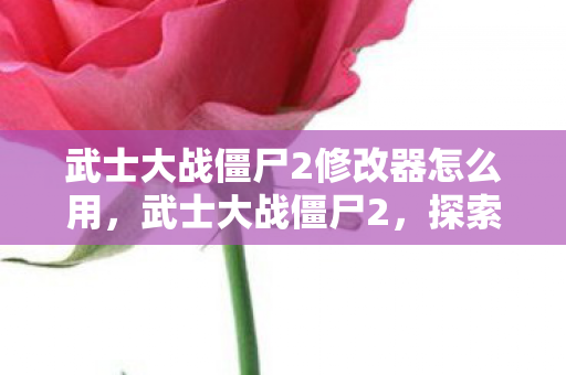 武士大战僵尸2修改器怎么用，武士大战僵尸2，探索无限可能的修改之旅