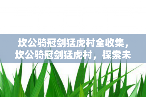 坎公骑冠剑猛虎村全收集，坎公骑冠剑猛虎村，探索未知世界的奇幻之旅