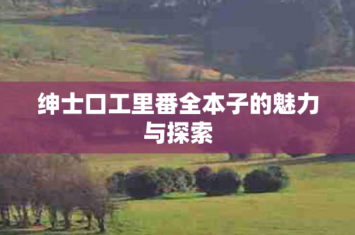 绅士口工里番全本子的魅力与探索