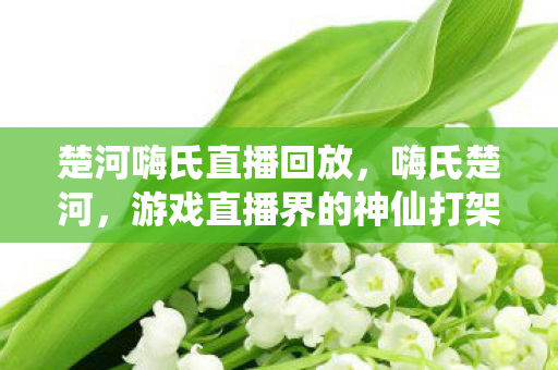 楚河嗨氏直播回放，嗨氏楚河，游戏直播界的神仙打架