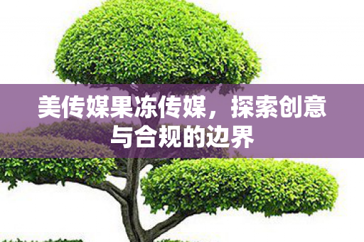 美传媒果冻传媒，探索创意与合规的边界