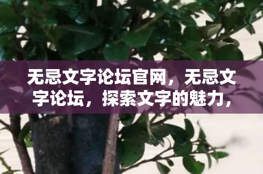无忌文字论坛官网，无忌文字论坛，探索文字的魅力，感受文化的深度
