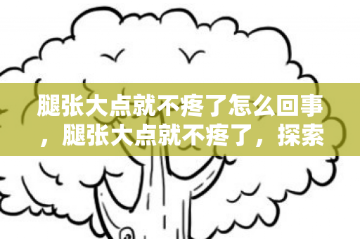 腿张大点就不疼了怎么回事，腿张大点就不疼了，探索游戏乐趣的边界与平衡