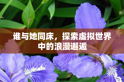 谁与她同床，探索虚拟世界中的浪漫邂逅