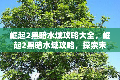 崛起2黑暗水域攻略大全，崛起2黑暗水域攻略，探索未知海域的终极指南