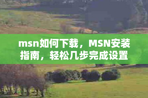 msn如何下载，MSN安装指南，轻松几步完成设置