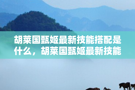 胡莱国甄姬最新技能搭配是什么，胡莱国甄姬最新技能搭配
