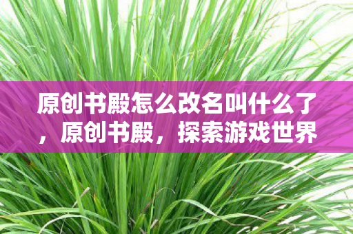 原创书殿怎么改名叫什么了，原创书殿，探索游戏世界的多元体验与社区互动