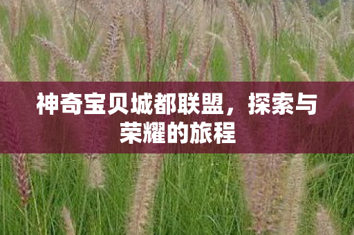 神奇宝贝城都联盟，探索与荣耀的旅程