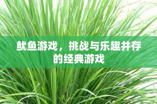 鱿鱼游戏，挑战与乐趣并存的经典游戏