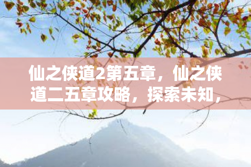 仙之侠道2第五章，仙之侠道二五章攻略，探索未知，挑战极限