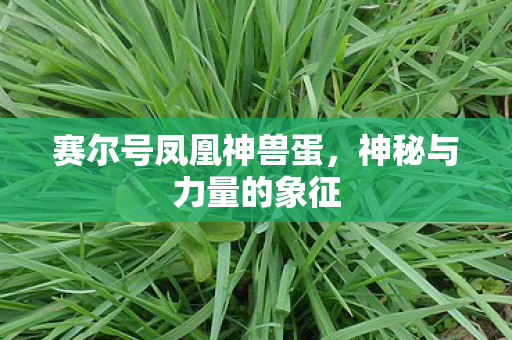 赛尔号凤凰神兽蛋，神秘与力量的象征