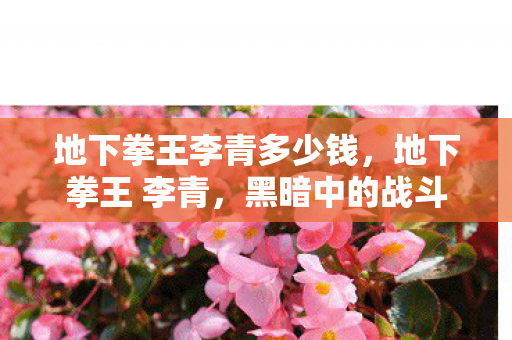 地下拳王李青多少钱，地下拳王 李青，黑暗中的战斗艺术