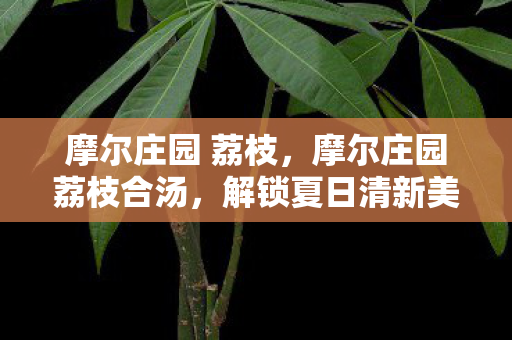 摩尔庄园 荔枝，摩尔庄园荔枝合汤，解锁夏日清新美味