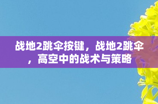 战地2跳伞按键，战地2跳伞，高空中的战术与策略
