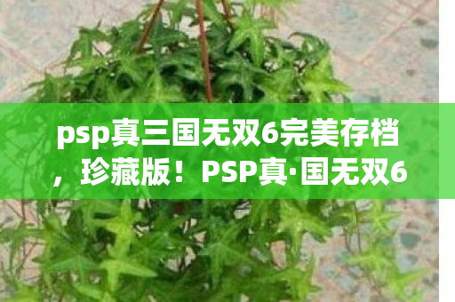 psp真三国无双6完美存档，珍藏版！PSP真·国无双6存档精选