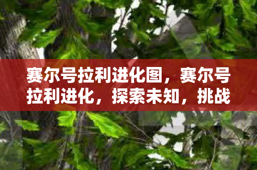 赛尔号拉利进化图，赛尔号拉利进化，探索未知，挑战极限