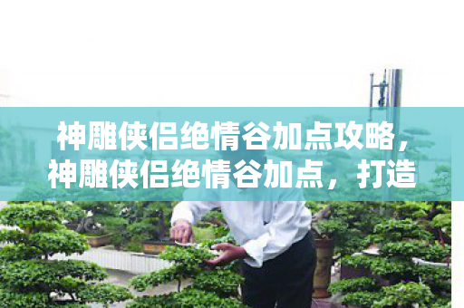 神雕侠侣绝情谷加点攻略，神雕侠侣绝情谷加点，打造最强角色，畅游武侠世界