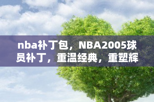 nba补丁包，NBA2005球员补丁，重温经典，重塑辉煌