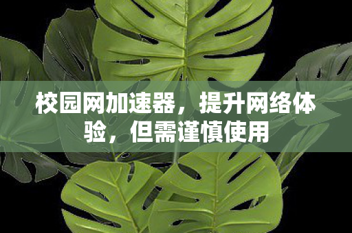 校园网加速器，提升网络体验，但需谨慎使用