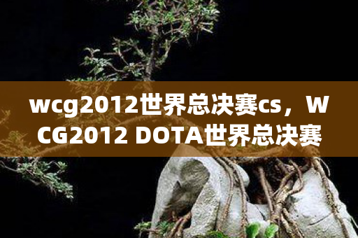 wcg2012世界总决赛cs，WCG2012 DOTA世界总决赛，传奇之战的幕后故事