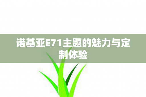 诺基亚E71主题的魅力与定制体验 诺基亚E71主题的魅力与定制体验