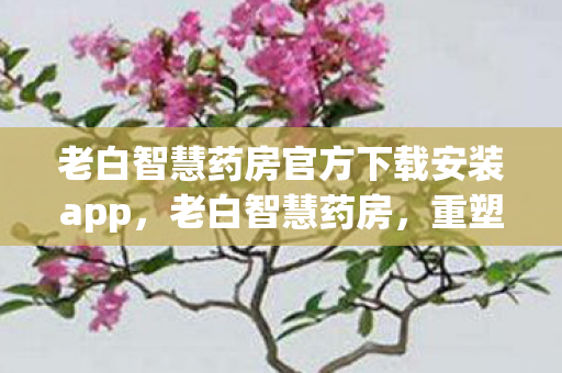 老白智慧药房官方下载安装app，老白智慧药房，重塑医疗健康的智慧未来