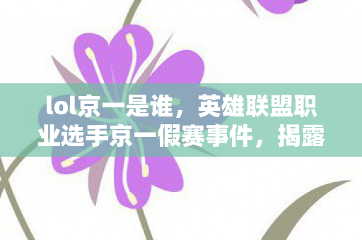 lol京一是谁，英雄联盟职业选手京一假赛事件，揭露电竞背后的灰色阴影