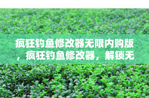 疯狂钓鱼修改器无限内购版，疯狂钓鱼修改器，解锁无限可能的钓鱼之旅