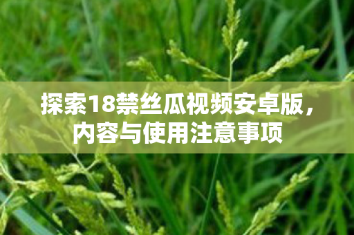 探索18禁丝瓜视频安卓版,内容与使用注意事项 探索18禁丝瓜视频安卓版,内容与使用注意事项